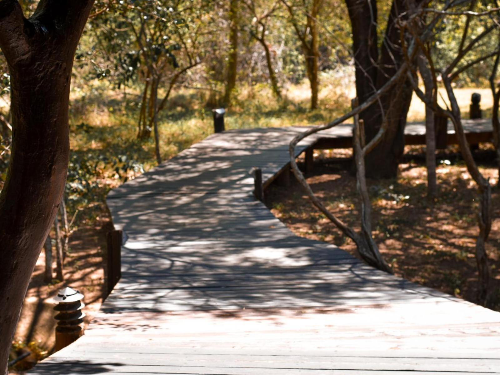Ihlozi Bush Lodge Hluhluwe Esterno foto